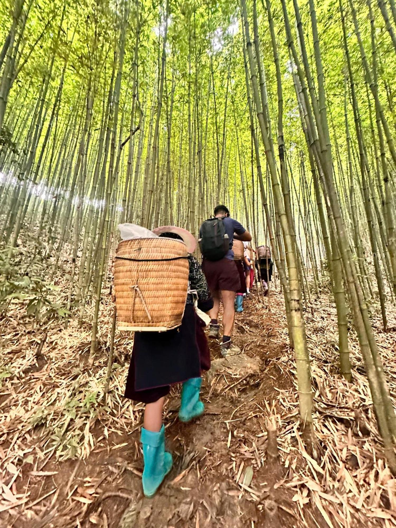 Dinh Sapa Trekking & Lao Cai